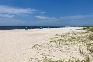 Paradise in the Palms - Mexico Beach - 3