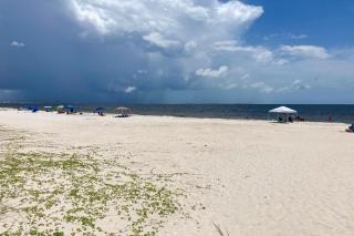 Paradise in the Palms - Mexico Beach - 2