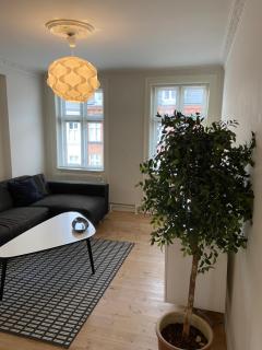 Viborggade - Copenhagen - 7