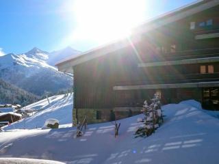 Studio Cabine Cosy Plein Sud - Résidence Le Plein Soleil, Bord des Pistes, Proche Commerces - FR-1-182-16 - Méribel - 3