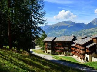 Appartement rénové pour 6 pers. avec parkings, ski à pied - La Plagne - FR-1-329-12 - Bellentre - 3