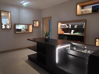 JUFA Hotel Salzburg City - 5