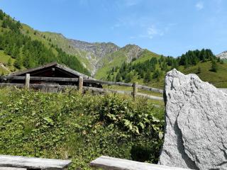 Ferienwohnung Bergblick - Schmirn - 7