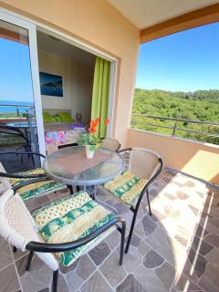Apartments Andrea - Ulcinj - 1