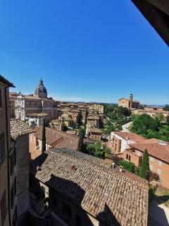 BANDINI 35 - Centrale con Ascensore - Siena - 7