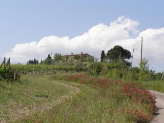 Agriturismo Collesassi - Montalcino - 9