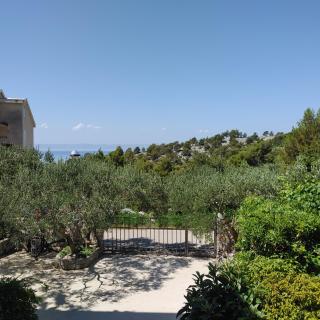 Apartments Villa Čizmić - Baška Voda - 3