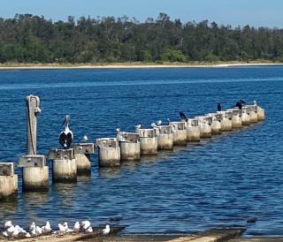 Sandbar Motel - Lakes Entrance - 2