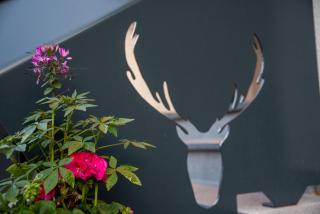 SCHÖNIS-Landhotel - Bad Mitterndorf - 5