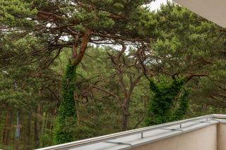 Apartamenty In Jurata Ratibora 66 - Jurata - 9