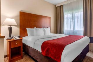 Comfort Suites North Dallas - Dallas - 5