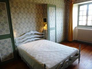 Maison calme avec grand terrain, proche commodités et sites médiévaux - FR-1-582-133 - Allègre - 1