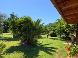 Il Bouganville - Oristano - 5