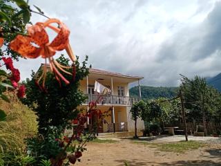 Rolandi's House - Keda - 7
