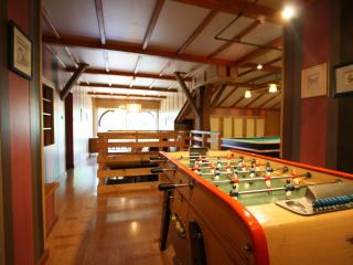 Gîte familial avec salle de jeux, cheminée, terrasse et proche de sites touristiques - FR-1-589-186 - - 6