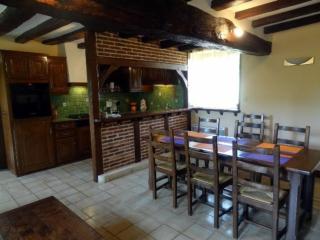 Gîte Confortable au Cœur du Vignoble de Sancerre avec Internet et Proche de la Loire à Vélo - FR-1-586-3 - Sury-en-Vaux - 8