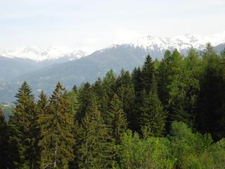 Apartment Mercure 501 - Anzère - 4