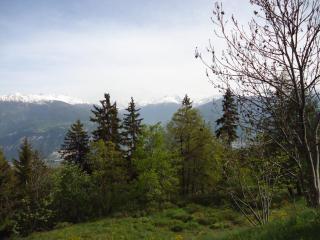 Apartment Mercure 501 - Anzère - 1