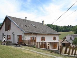 Gîte paisible à 650m d'alt., nature, cheminée, 3 ch. près de Remiremont & Plombières, terrasse, grand terrain - FR-1-589-50 - Girmont-Val-dʼAjol - 0