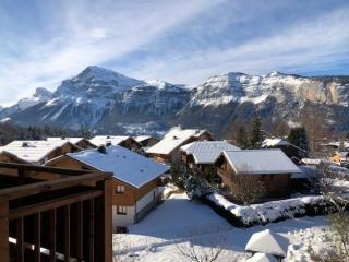 Appartement 3P cosy, cheminée, WIFI, garage, proche pistes et commerces - FR-1-572-240 - Les Carroz d'Araches - 1