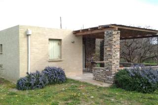 Cottage amidst vines and Oak Trees - Ioulida - 7