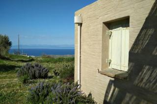Cottage amidst vines and Oak Trees - Ioulida - 3