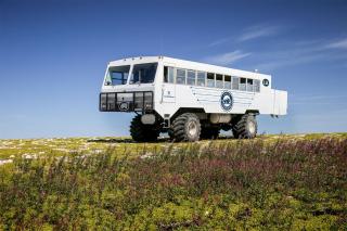 IceBerg Inn - Churchill - 7