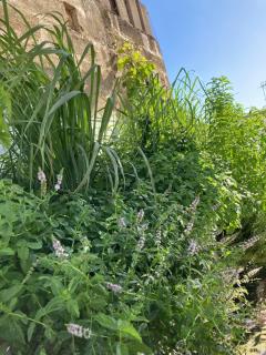 Corte Baracca B&B Suite - 8