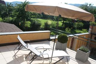 Donauwirt - Hotel garni - Weißenkirchen in der Wachau - 9