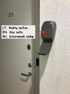 LT Mini Studio - 1