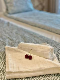 Olive Square Apartment Budva - Budva - 3