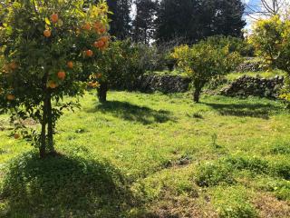 Agriturismo DonnoMarco - Simeri - 4