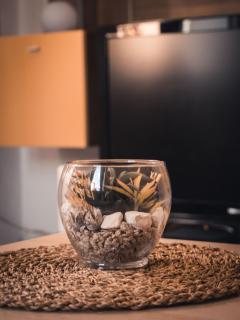 Apartments STARI TIGER - 6