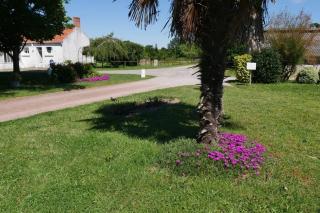 Maison de vacances avec Spa et sauna à Commequiers, 12 à 14 personnes - Commequiers - 4