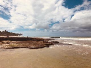 Flat no Carneiros Beach Resort - Tamandaré - 5