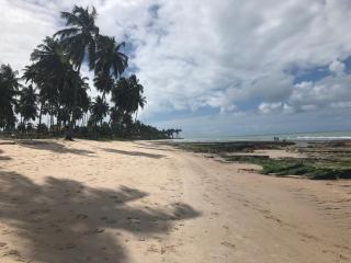 Flat no Carneiros Beach Resort - Tamandaré - 1