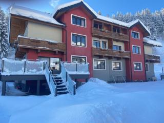 Haus Birnbacher - Mühlbach am Hochkönig - 0