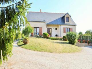 Charmante maison avec jardin, 2 terrasses et cheminée, proche Château d'Azay-le-Rideau - FR-1-381-279 - Azay-le-Rideau - 9