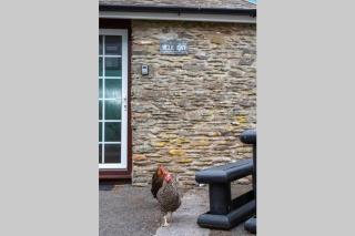 Hele Bay Cottage - 5