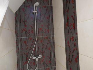 Chambre meublée en duplex indépendante - Caen - 1