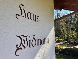 Haus Widmann - Scheffau am Wilden Kaiser - 1
