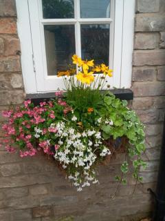 Delighful self catering in the heart of Glastonbury - Glastonbury - 4