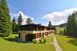 PATASCOSS TERRAZZA sulle DOLOMITI - Madonna di Campiglio - 9