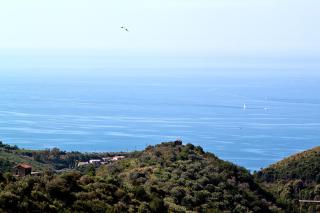 I Tre Pini - Pollica - 2