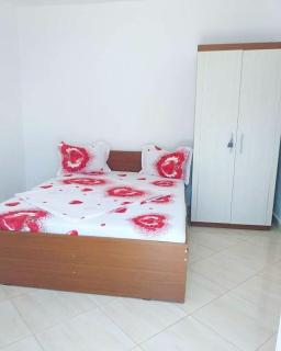 Casa Denisa - Sulina - 8