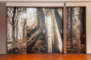 The Only View - Self Check-In Only - 7