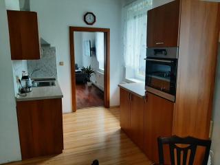 Apartmán vila Vítkovice - Vítkovice - 7