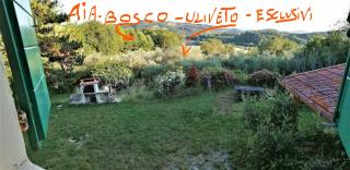 BeBrettino Atipico. Un into the wild tranquillo - Trebbiantico - 9