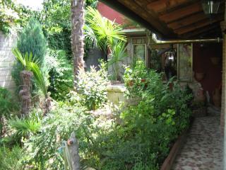 B&B Le Palme d'Oro - Grisignano di Zocco - 8