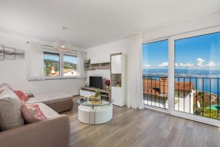 Villa Bellevue Opric - Opric - 7
